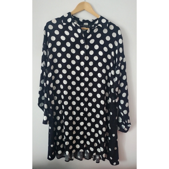 Zara Dresses & Skirts - Zara Polka Dot shirt dress
